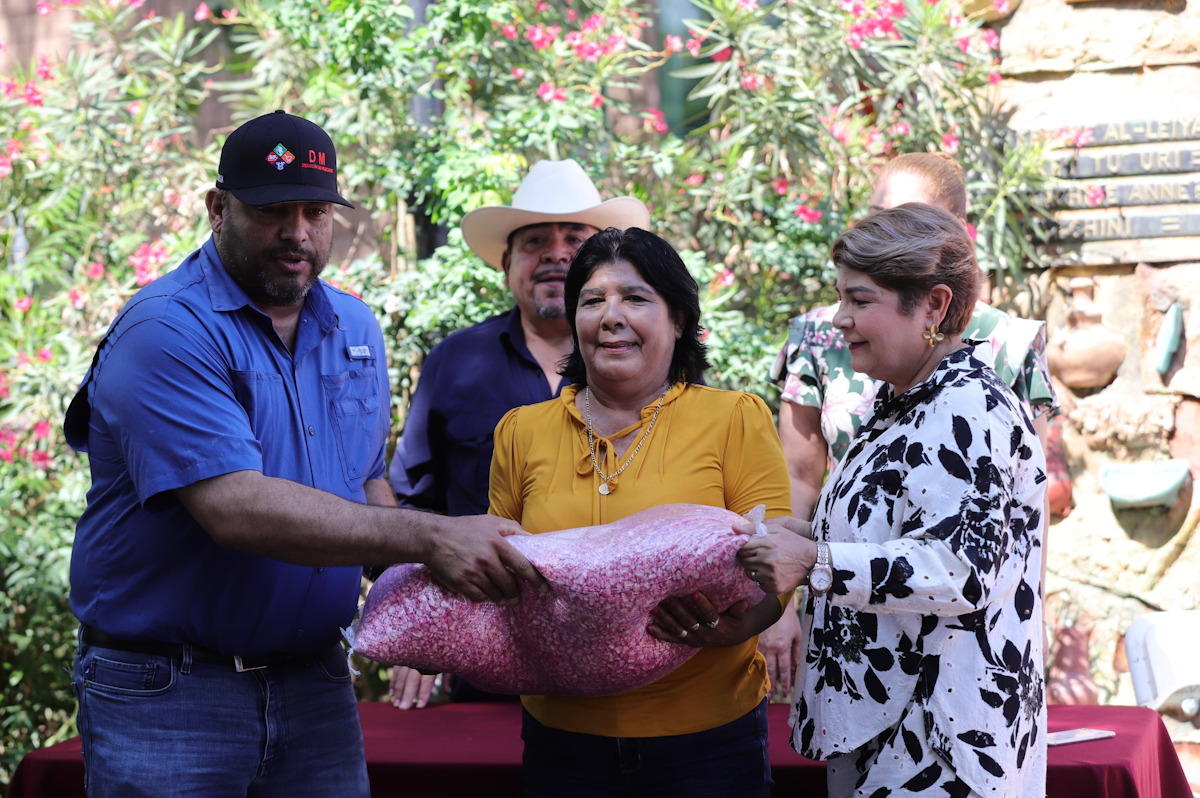 Apoyan a temporaleros de Guasave con semilla de maíz nativo
