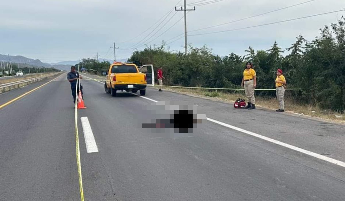 Atropellan a un sujeto sobre la carretera internacional México 15 en Escuinapa