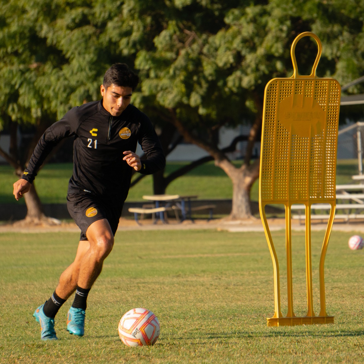 Los Dorados reciben este martes a Cancún en su primer duelo en la Pecera