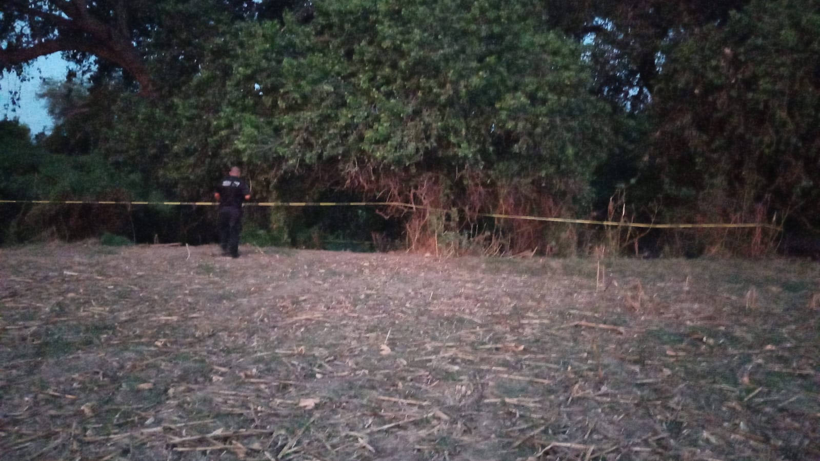El cuerpo encontrado sin vida en Cubiri del Amole, Guasave, no tenía cabeza ni extremidades