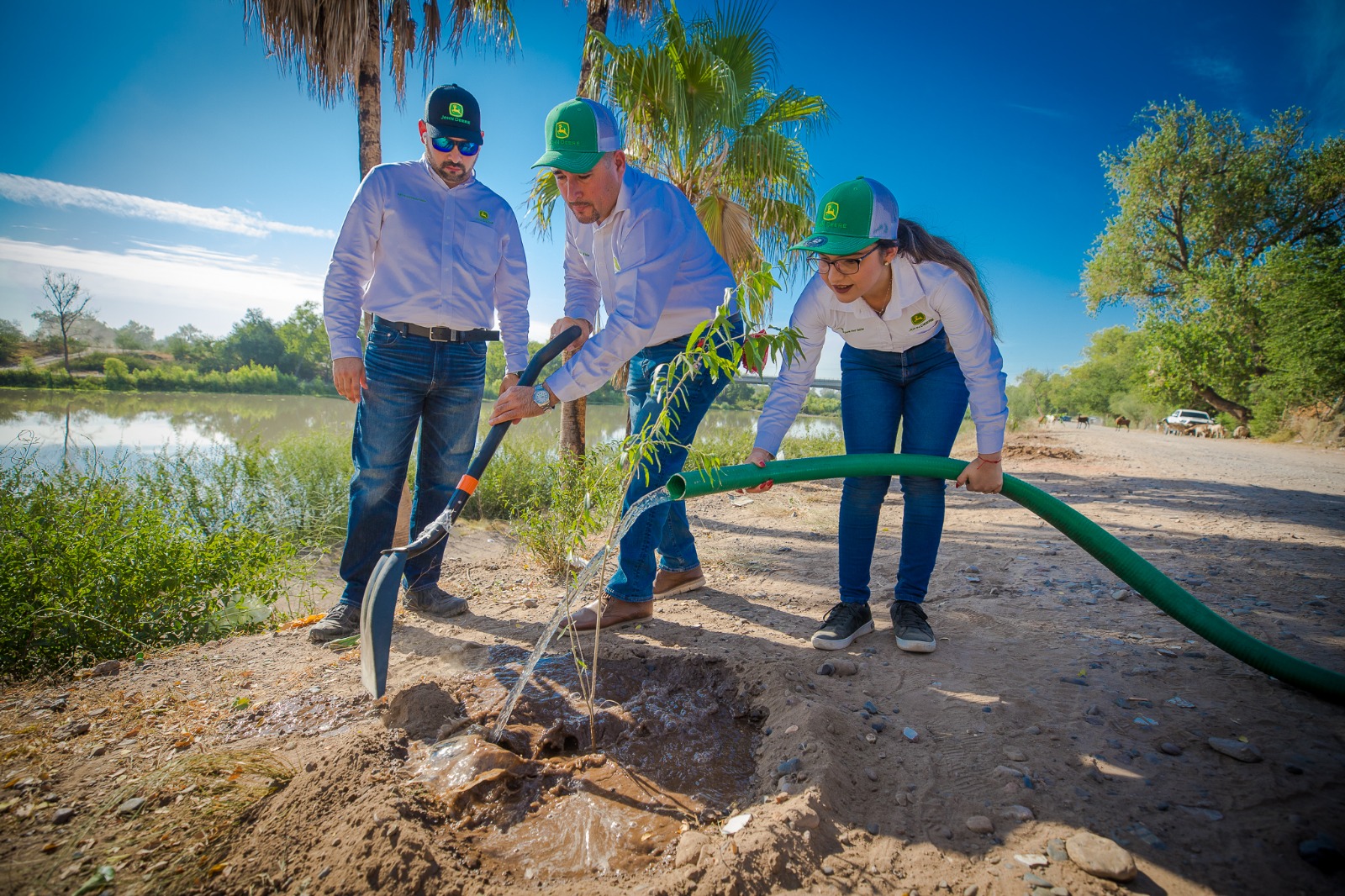 En Guasave, Ecología y DURS hacen equipo con empresa agrícola; plantan 100 árboles en el río