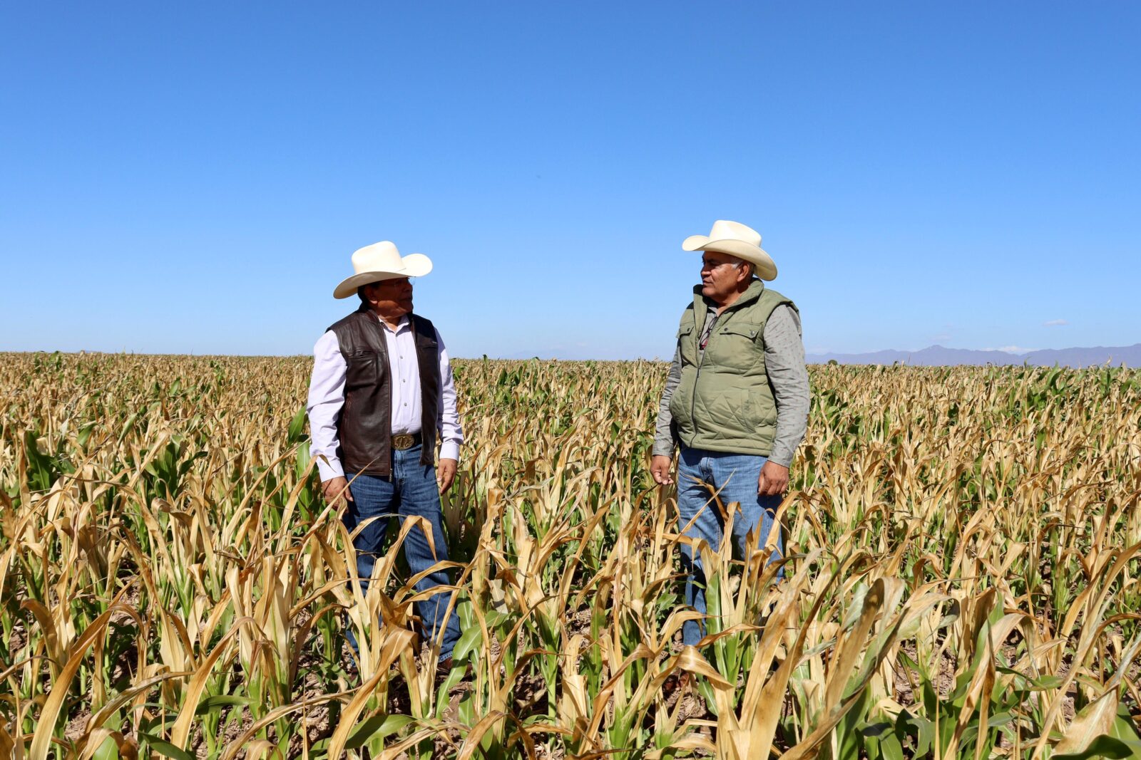 Ofrece secretario de Agricultura en Sinaloa echar la mano a productores temporaleros de Ahome