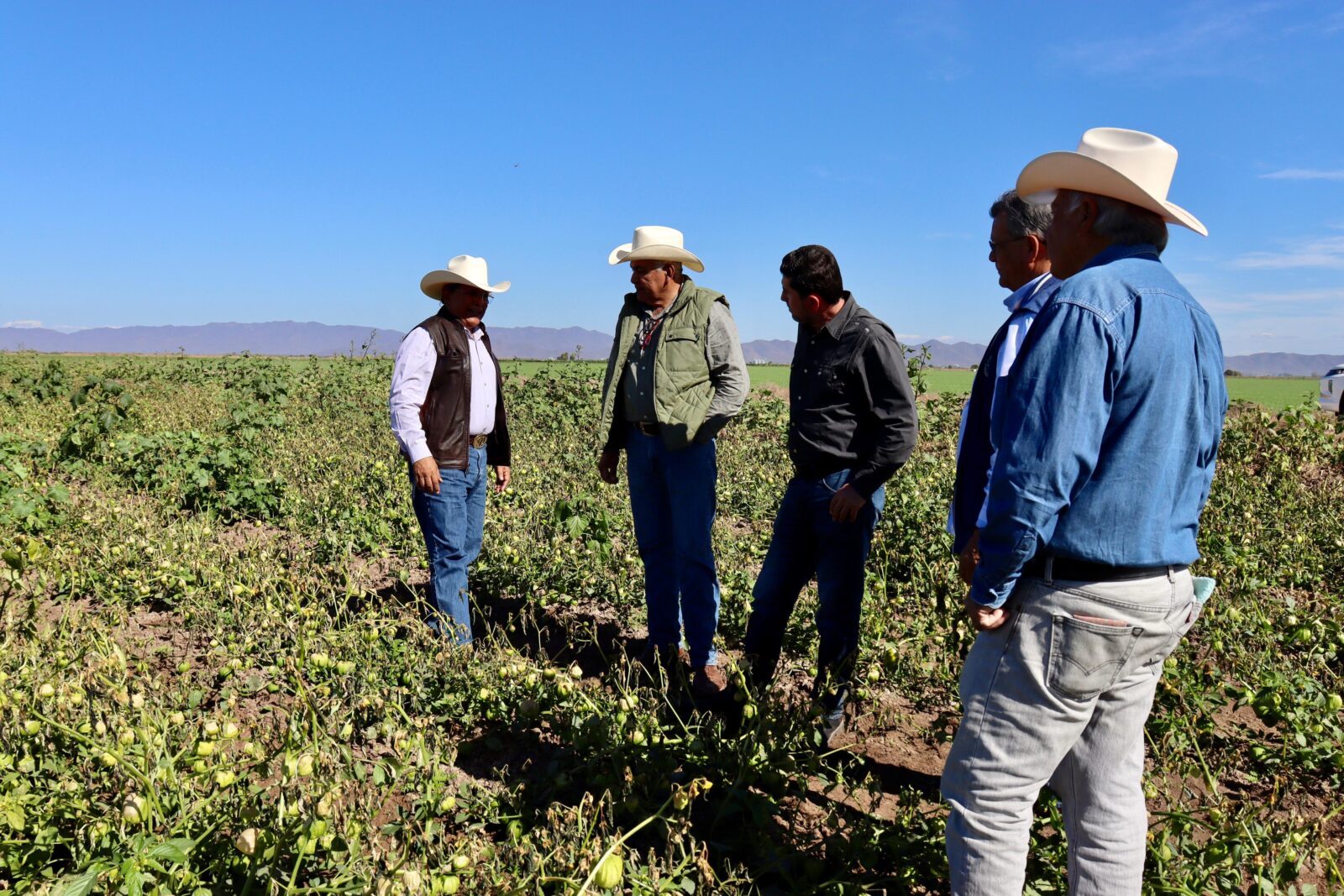 Jaime Montes asume compromisos con productores de El Carrizo al revisar cultivos con daños parciales