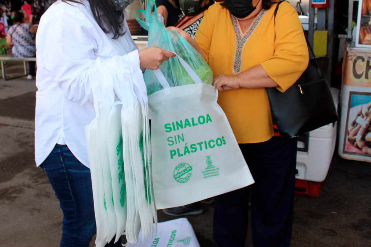 bolsa ecológica