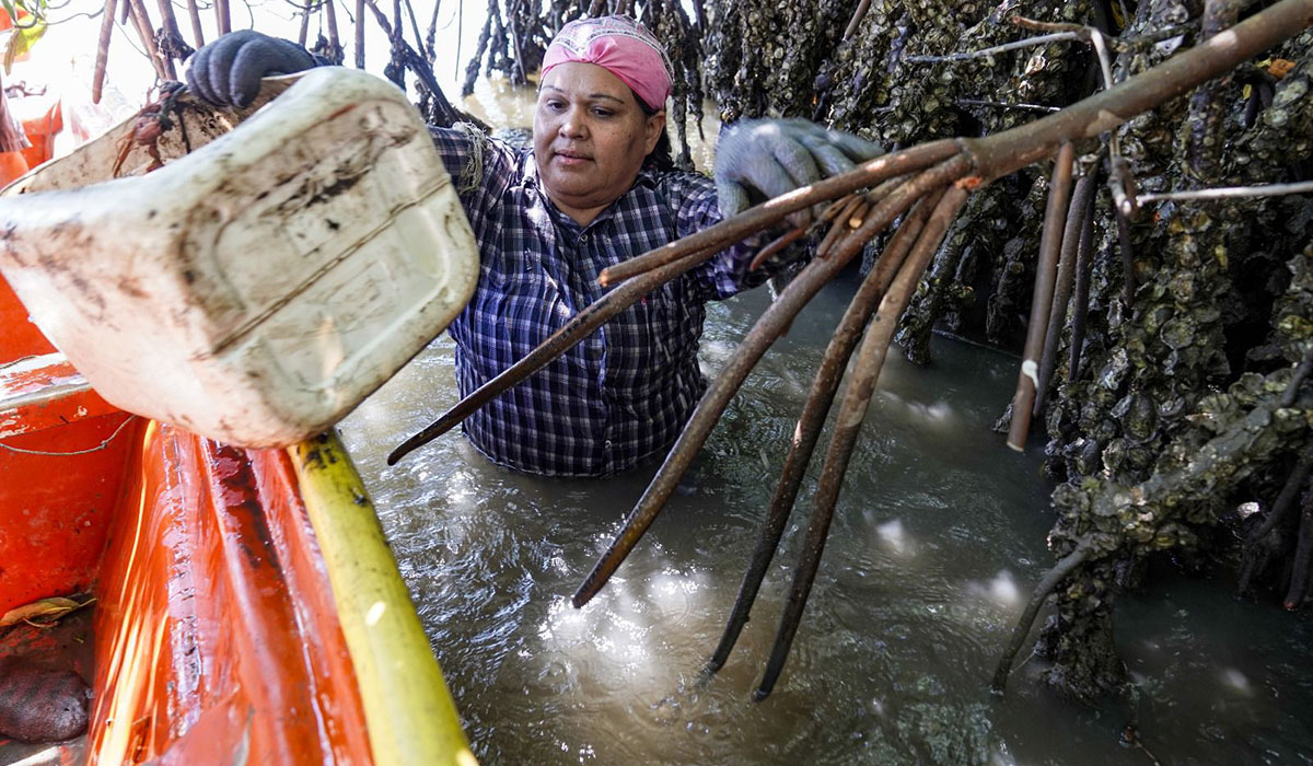 Yanett Miranda Castro Medina, ganadora al Premio a la Mujer Rural Sinaloense 2023