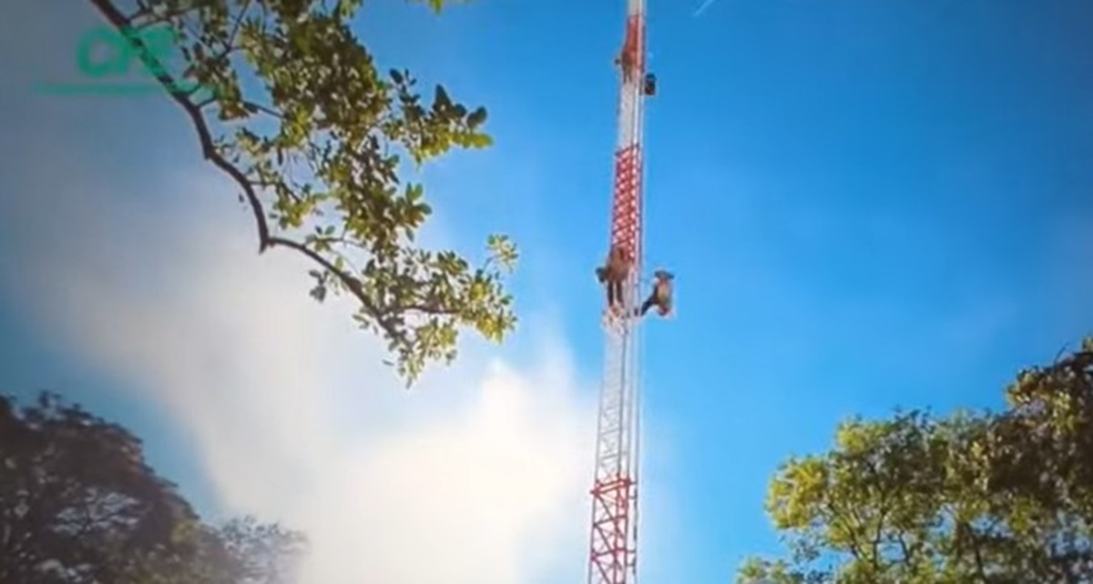 Antena del programa Internet para Todos
