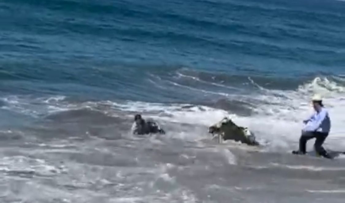 ‘Casi se ahogan’, jinete y su corcel se llevan susto en cabalgata en Mazatlán