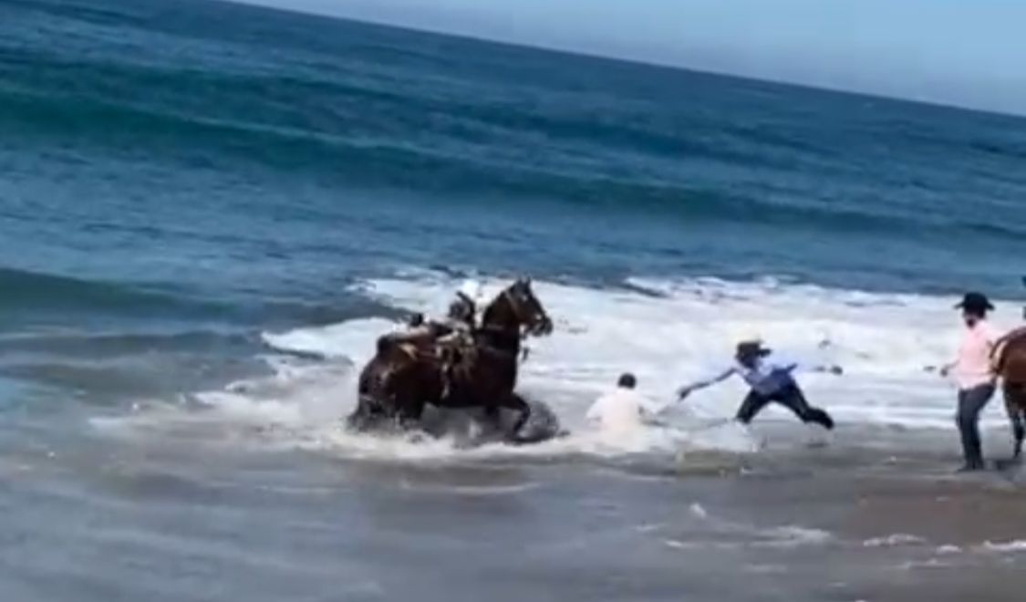 ‘Casi se ahogan’, jinete y su corcel se llevan susto en cabalgata en Mazatlán