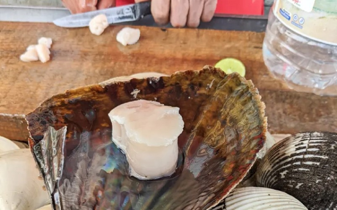 Callo de hacha