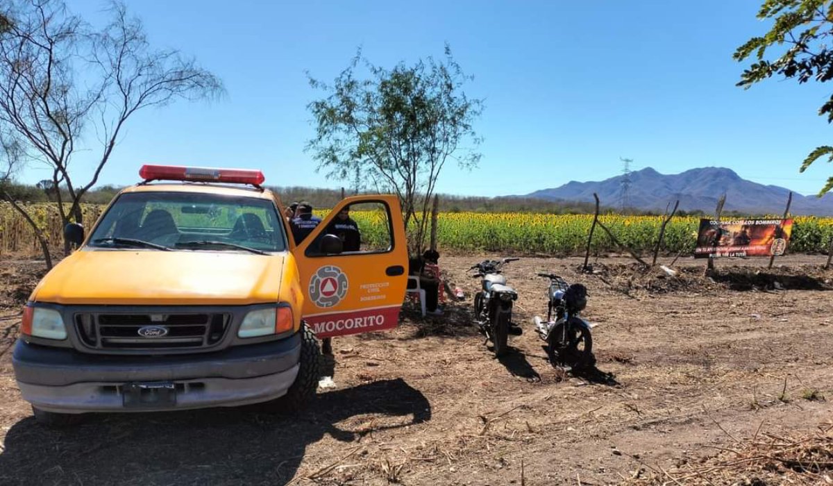 camioneta de Protección Civil en los campos de Girasoles en Mocorito