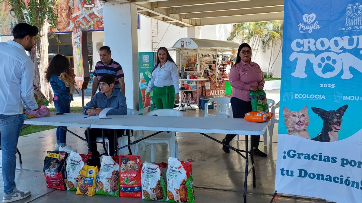 croqueton en guamuchil evento