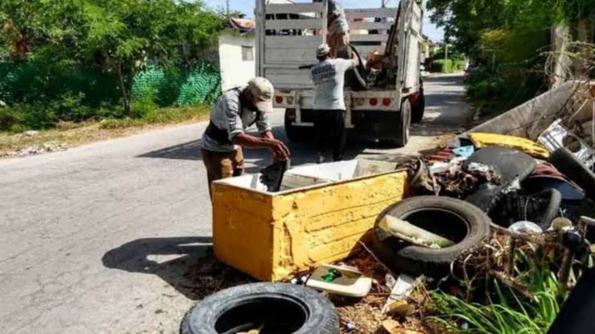 descacharrizacion limpieza criaderos mosquito dengue