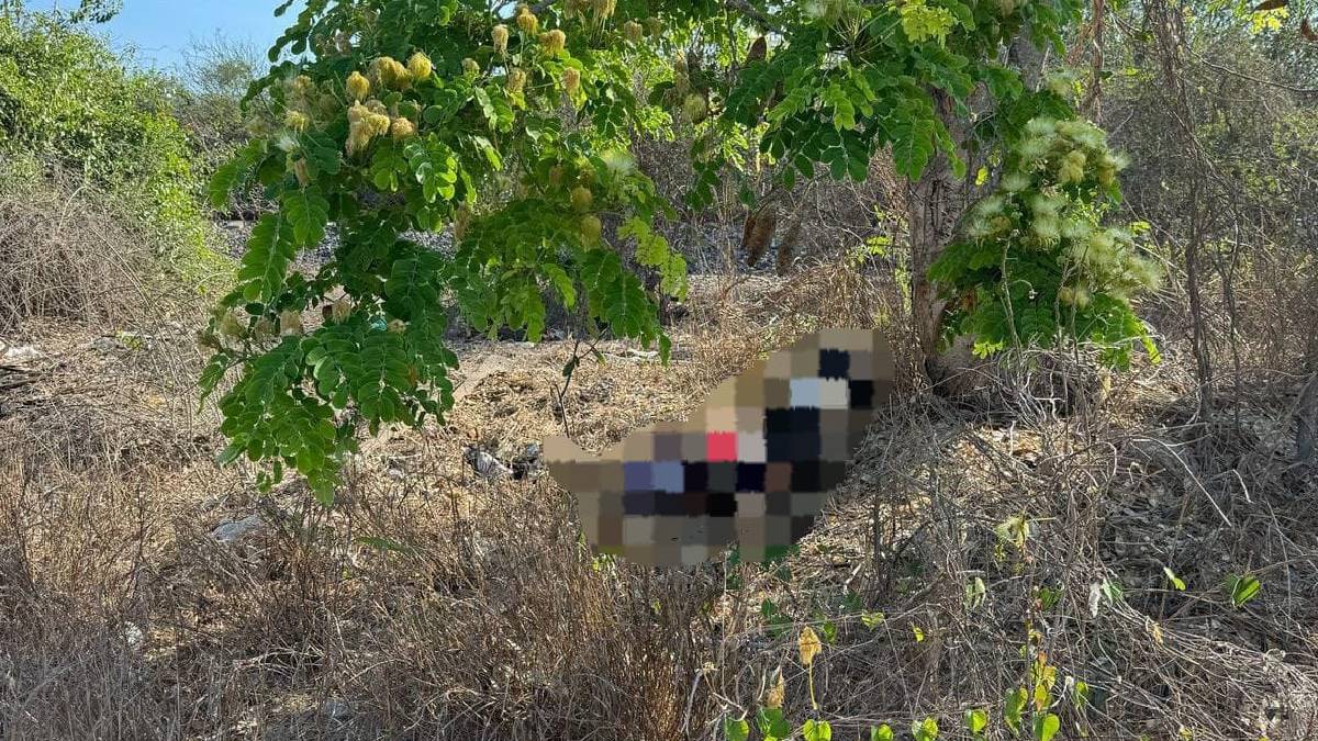 Localizan cuerpo con huellas de tortura cerca de la termoeléctrica de Mazatlán