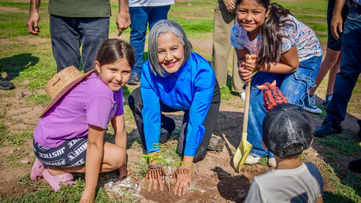 Jornada de reforestación en Salvador Alvarado por el Día Nacional del Árbol