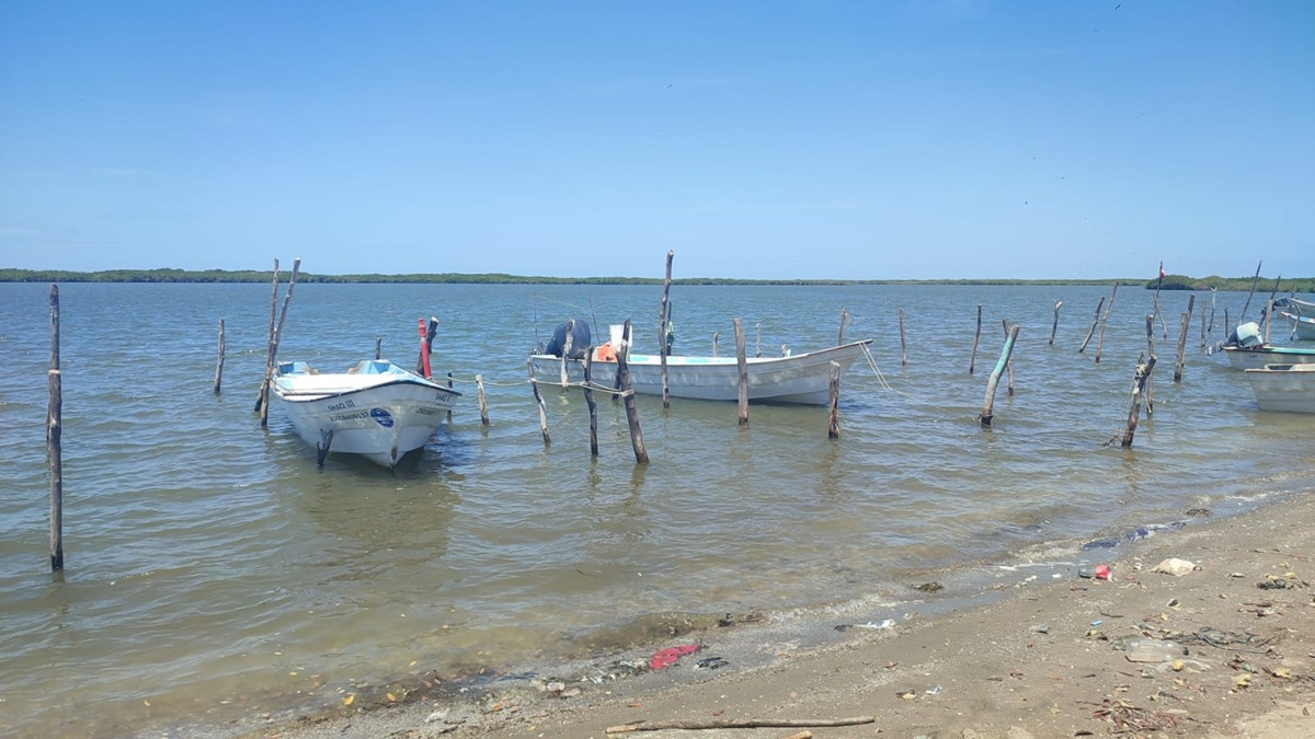 Pescadores del norte de Sinaloa esperan buenas capturas de jaiba