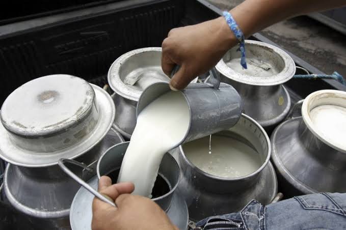 Proyecto del Centro de Acopio Liconsa está vivo, pero avanza muy lento aún en Mazatlán: Ganaderos Hombre embazando leche en un contenedor