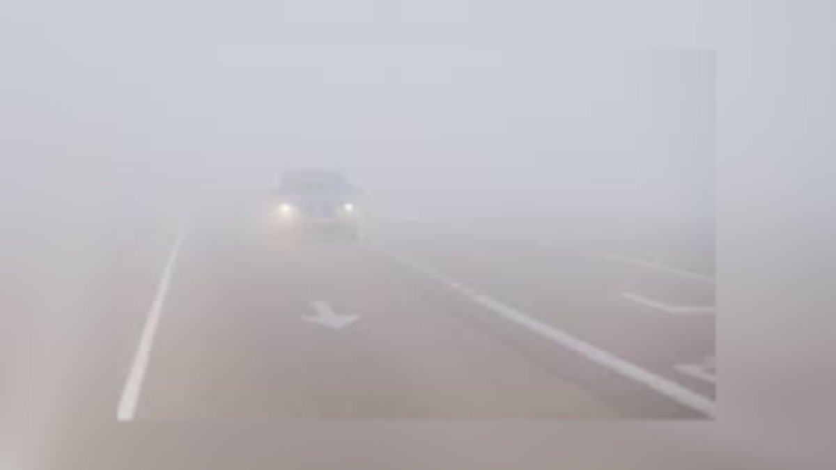 nieblas en carreteras