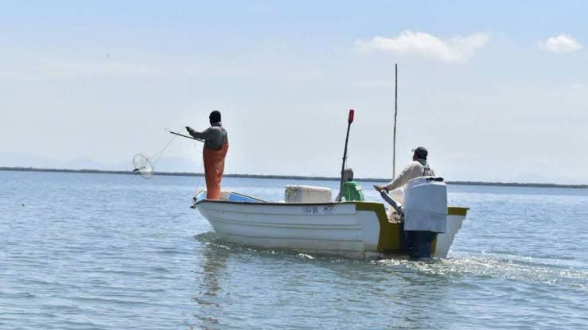 Pescadores de Sinaloa reclaman atención del Gobierno Federal