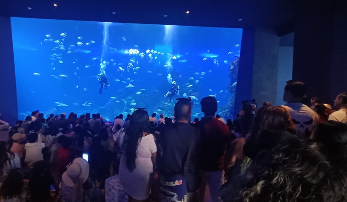 Gran Acuario Mazatlán es reconocido como Predio que Maneja Vida Silvestre por su labor en conservación El Gran Acuario Mazatlán fue reconocido como Predio o Instalación que Maneja Vida Silvestre