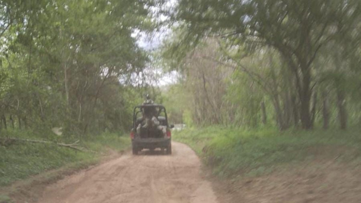 Sierra de Cosalá