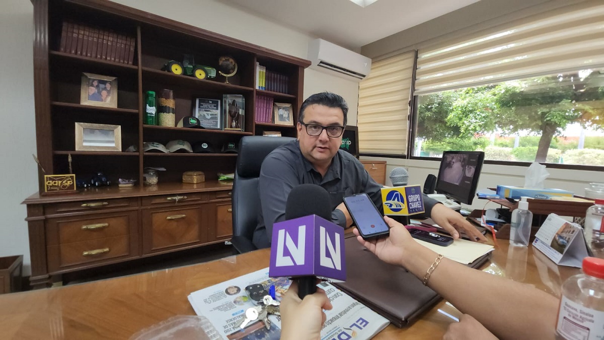 Lluvias registradas dan aliciente al campo; AARSP llama a aprovechar humedad