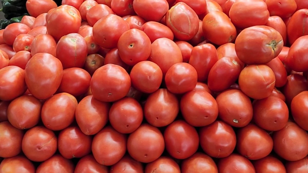 tomates