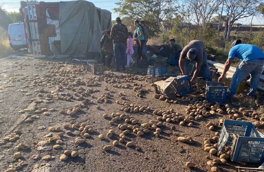 ¡Papitas fritas! Se registra rapiña tras volcar tráiler cargado de papas en Elota