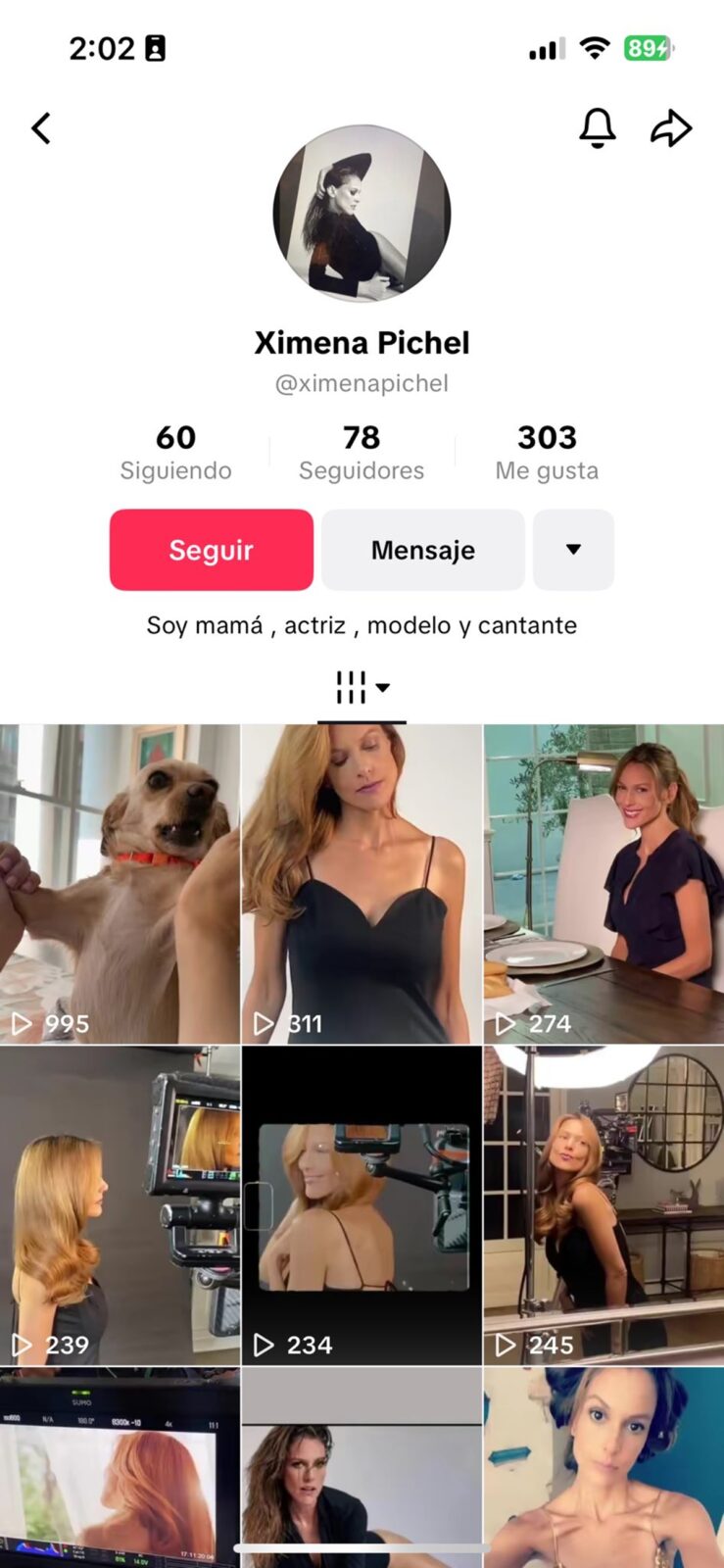 Perfil de TikTok de Ximena Pichel conocida como Lady Racista